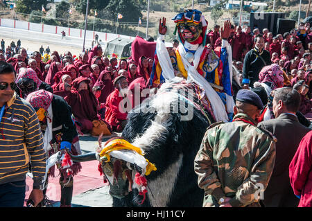 Danseurs effectuer pour le 17e Karmapa Lama en visite dans la région de Tawang près de la frontière etudes, de l'Arunachal Pradesh, Inde du nord-est Banque D'Images