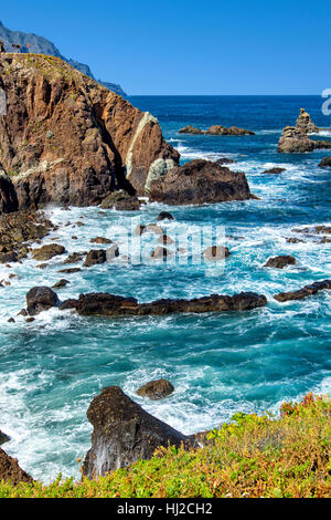 Littoral du parc rural d'Anaga à Ténérife Banque D'Images