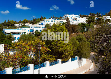 Bleu, maisons, ville, ville, célèbre, Hill, l'Afrique, de l'eau, de la Méditerranée, le sel Banque D'Images