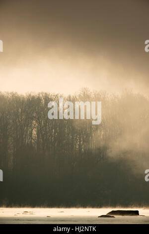 Le brouillard est illuminé par le soleil du matin sur une rivière avec des arbres. Banque D'Images