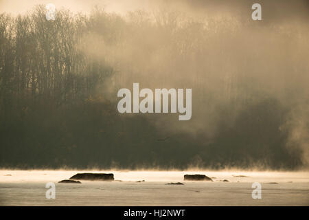 Le brouillard est illuminé par le soleil du matin sur une rivière avec des arbres. Banque D'Images