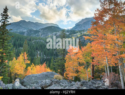 Couleurs d'automne à Bear Lake, dans le Parc National des Montagnes Rocheuses, près de Estes Park, Colorado. Banque D'Images