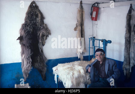 Avec le concessionnaire de la fourrure de l'ours brun (Ursus arctos) Peau pendaison le mur Boutique ou magasin dans la vieille ville d'Ulus Ankara Turquie Banque D'Images