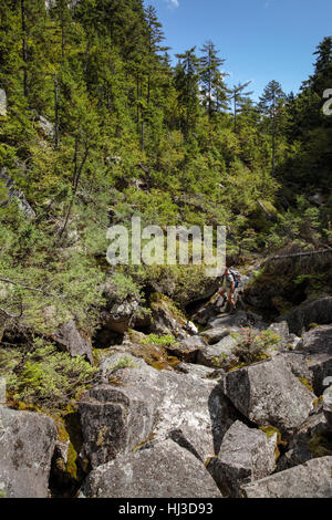 Ice Gulch - Un goût de glace le long du chemin du ravin de Randolph, New Hampshire pendant les mois d'été. Banque D'Images