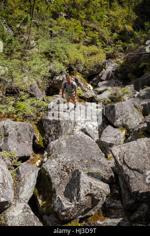 Ice Gulch - Un goût de glace le long du chemin du ravin de Randolph, New Hampshire pendant les mois d'été. Banque D'Images