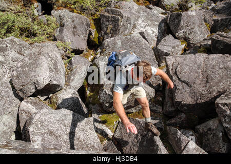 Ice Gulch - Un goût de glace le long du chemin du ravin de Randolph, New Hampshire pendant les mois d'été. Banque D'Images