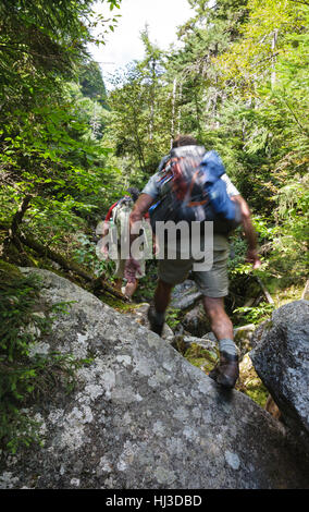 Ice Gulch - Un goût de glace le long du chemin du ravin de Randolph, New Hampshire pendant les mois d'été. Banque D'Images
