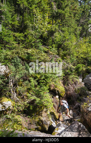 Ice Gulch - Un goût de glace le long du chemin du ravin de Randolph, New Hampshire pendant les mois d'été. Banque D'Images