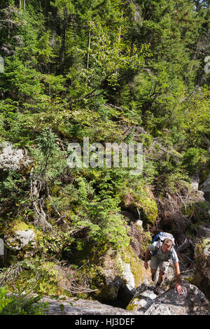 Ice Gulch - Un goût de glace le long du chemin du ravin de Randolph, New Hampshire pendant les mois d'été. Banque D'Images