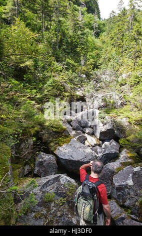 Ice Gulch - Un goût de glace le long du chemin du ravin de Randolph, New Hampshire pendant les mois d'été. Banque D'Images