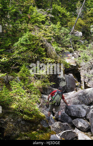 Ice Gulch - Un goût de glace le long du chemin du ravin de Randolph, New Hampshire pendant les mois d'été. Banque D'Images