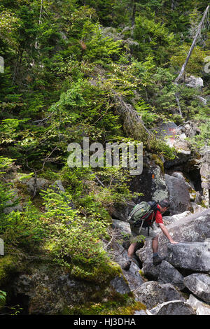 Ice Gulch - Un goût de glace le long du chemin du ravin de Randolph, New Hampshire pendant les mois d'été. Banque D'Images