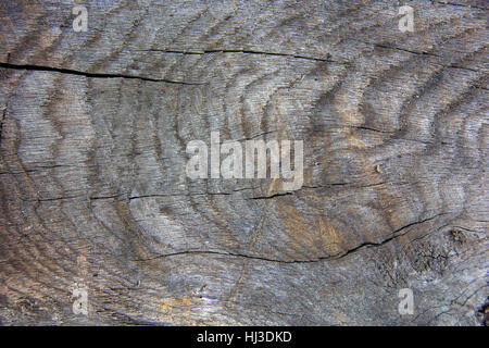 Close up of weathered wood avec des fissures Banque D'Images