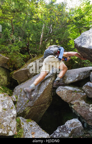 Ice Gulch - Un goût de glace le long du chemin du ravin de Randolph, New Hampshire pendant les mois d'été. Banque D'Images