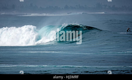 Vague de concassage à Waimea Bay, North Shore, Oahu, Hawaii, USA Banque D'Images