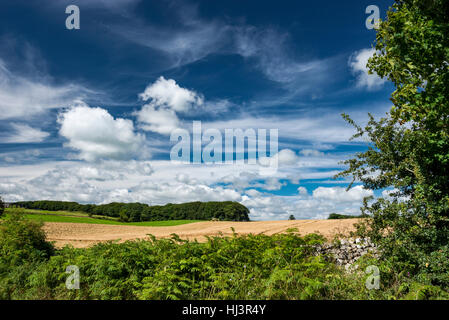 Les nuages filandreux haut dans un ciel d'été au-dessus de la campagne anglaise dans le Peak District, Derbyshire. Banque D'Images