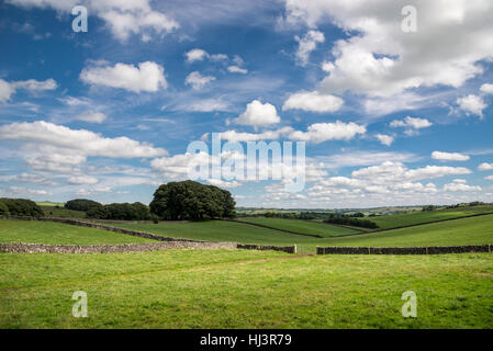 Pic Blanc campagne près de Parwich dans le Peak District, Derbyshire. Banque D'Images