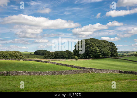 Pic Blanc campagne près de Parwich dans le Peak District, Derbyshire. Banque D'Images