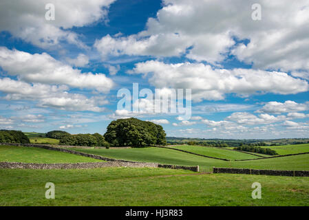 Pic Blanc campagne près de Parwich dans le Peak District, Derbyshire. Banque D'Images