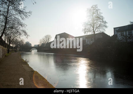 Londres, Royaume-Uni. 22 janvier, 2017. Une couche de glace recouvre la surface de Regent's Canal, sur lequel les foulques et les pigeons peuvent marcher sans difficultés. Les canaux et les étangs de Victoria Park sont iced en raison de la basse température. Credit : PACIFIC PRESS/Alamy Live News Banque D'Images