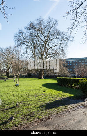 Le plan du Nouveau-Brunswick à Brunswick Square Gardens, Londres, WC1, UK Banque D'Images