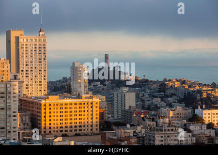 Matin brouillard près de Coit Tower Park en milieu urbain à San Francisco, Californie. Banque D'Images