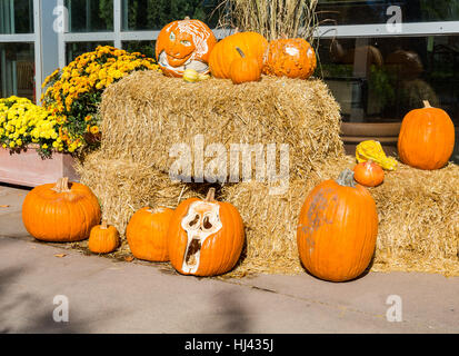 Décorations d'Halloween dans un jardin d'automne Banque D'Images