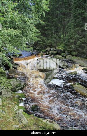 Kremelna la rivière, le Parc National de Sumava - Forêt de Bohême, République Tchèque Banque D'Images