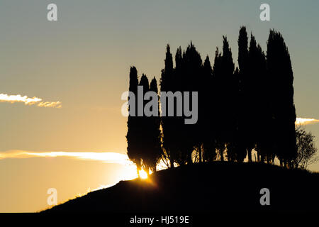 Hills panorama au coucher du soleil. cyprès sur la colline parlementaire. Paysage minimal Banque D'Images