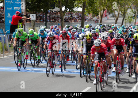 Adélaïde, Australie. Être en sécurité Voir MAC Étape 6 circuit City, Santos Tour Down Under, 22 janvier 2017. Peleton sur le dernier tour. Crédit : Peter Mundy/Alamy Live News Banque D'Images