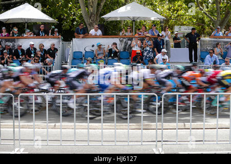 Adélaïde, Australie. Être en sécurité Voir MAC Étape 6 circuit City, Santos Tour Down Under, 22 janvier 2017. Peleton sur le dernier tour. Crédit : Peter Mundy/Alamy Live News Banque D'Images