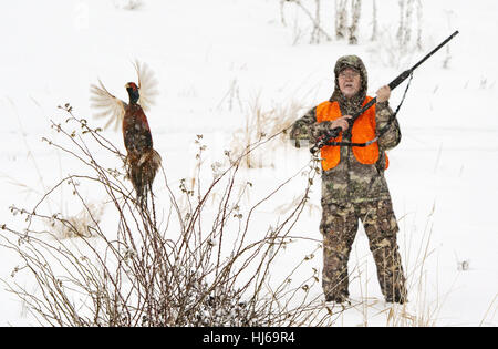 Spokane, WA, USA. 26Th Dec 2016. Conklin et kit de Keith hunt chasse faisan Conklin près de Spokane, dans le duo père et fils avaient de bons succès dans la neige le long de la Palouse paysage. Ils chassaient sur les chiens d'oiseaux à l'aide de la pompe et Browning semi-automatique fusils remington et portaient des vêtements de chasse Première Lite. Credit : Jed Conklin/ZUMA/Alamy Fil Live News Banque D'Images