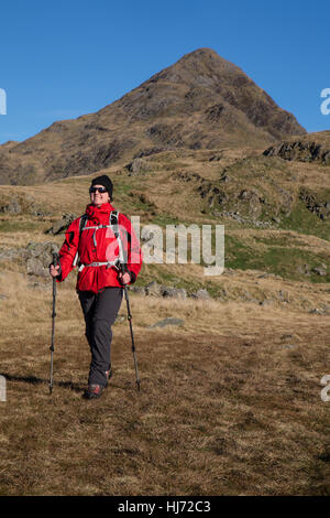 Walker dans la femelle du parc national de Snowdonia dans le Nord du Pays de Galles, avec Cnicht derrière. Banque D'Images