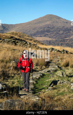 Lone female hiker dans le parc national de Snowdonia dans le Nord du Pays de Galles, portant une veste rouge. Banque D'Images