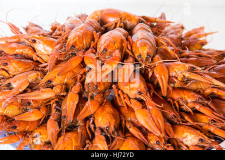 Photo de crawfishes bouillie rouge sur le plat Banque D'Images