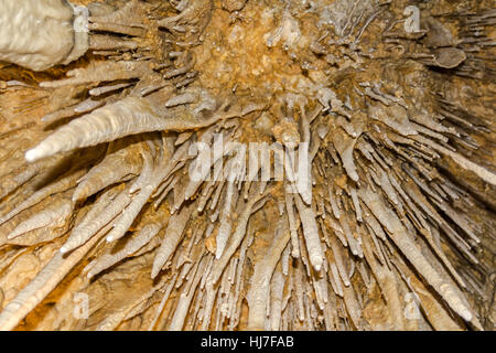 Grottes de Hastings, Tasmanie, Australie - Janvier 2, 2017 : Stalactites dans la grotte de Tasmanie Newdigate Banque D'Images