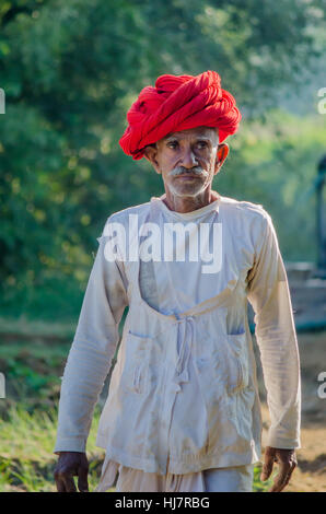 Closeup portrait of a Senior citizen Rajasthani dans sa ferme wearing red turban traditionnel Banque D'Images