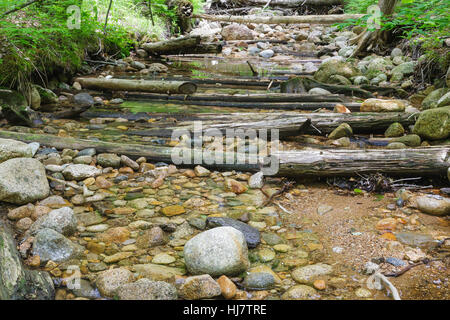 Emplacement d'un tronçon de ligne de la branche est & Lincoln Logging Railroad (1893-1948) dans le désert Pemigewasset, New Hampshire Banque D'Images