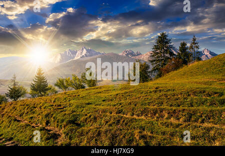 Paysage d'été composite avec spruce forest on grassy hillside en hautes montagnes Tatras dans la lumière du soir Banque D'Images