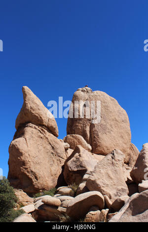 Alpiniste au sommet formation rocheuse unique sur la Vallée Cachée de pique-nique Sentier dans le parc national Joshua Tree, Twentynine Palms, California, USA Banque D'Images