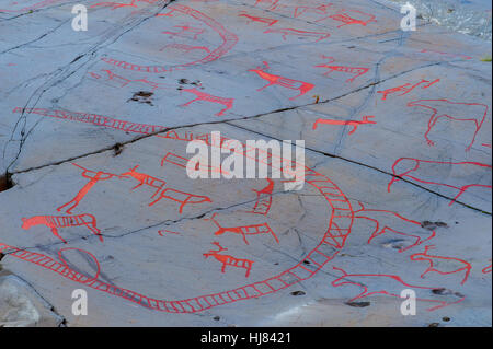 Des pictogrammes représentant des troupeaux de rennes sur une pierre plate gris. Une partie de l'Alta Rock Art, UNESCO World Heritage Site, Alta, Finnmark, Norvège. Banque D'Images