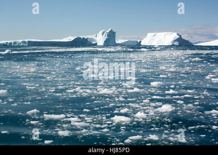 Les icebergs, Groenland Banque D'Images