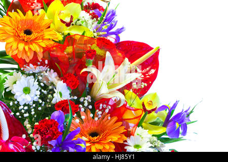 Bouquet de fleurs d'été lumineux isolated on white Banque D'Images