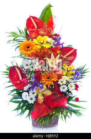 Bouquet de fleurs lumineuses isolated on white Banque D'Images