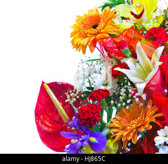 Bouquet de fleurs lumineuses isolated on white Banque D'Images