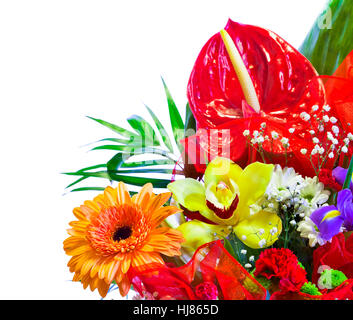 Bouquet de fleurs lumineuses isolated on white Banque D'Images