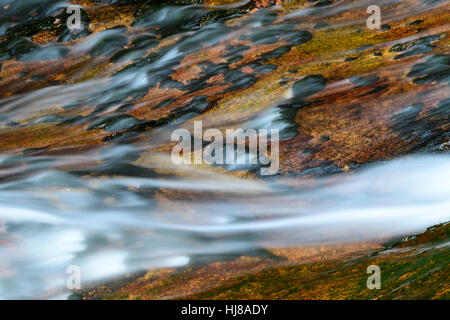 Steinerne Renne cascade, monument naturel, section de la vallée d'Holtemme, Hasserode, Parc National de Harz, Saxe-Anhalt, Allemagne Banque D'Images