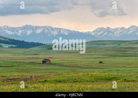 Ancienne grange et hangar sur Oregon's Prairie Zumwalt, avec les montagnes Wallowa au loin. Banque D'Images