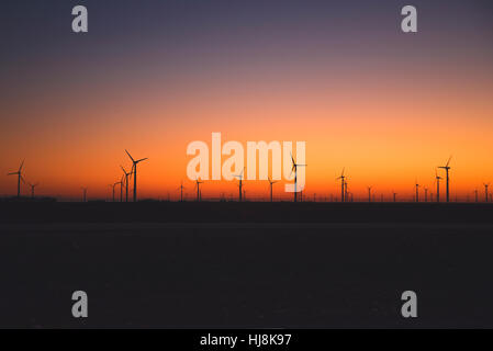 Éoliennes en rangée au coucher du soleil, Sierra Blanca, Texas, États-Unis Banque D'Images