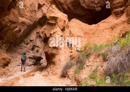 Un randonneur debout à l'embouchure de la grotte froide le long du sentier panoramique. Parc d'état de Kodachrome Basin, Utah Banque D'Images